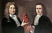 Heart anatomists,17th century
