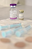 Influenza vaccine and emulsion