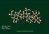 Glycogen units,molecular model