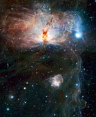 Flame Nebula,VISTA image