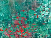 Boise city,Oklahoma,satellite image