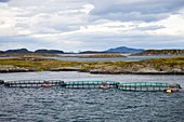 Fish farm,Norway
