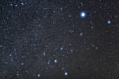 Sirius and Canis Major