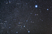 Sirius and Canis Major