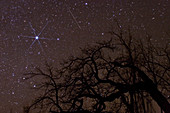 Meteor and Sirius