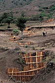 Ethiopian deforestation