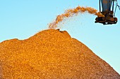 Wood chip production