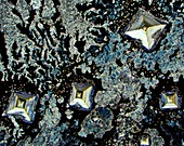 Salt crystals,light micrograph