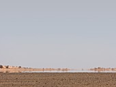 Desert Mirage,Libya