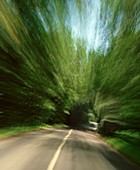 Speeding down a country road