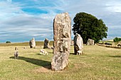 Neolithic standing stones