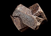 Twinned staurolite crystals