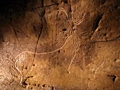 Stone-age cave art,Asturias,Spain