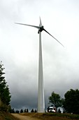 Wind turbine