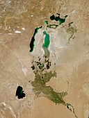 Aral Sea,satellite image,2010