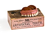 Vulcanite dentures with box,1850