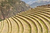Agricultural terraces,Pisac,Peru