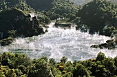 Geothermal lake,New Zealand