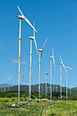 Wind farm,Reunion island