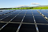 Solar panels,Reunion island