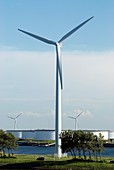 Wind turbines,Rotterdam