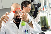 Microalgae biofuel research