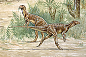 Hypsilophodon dinosaur