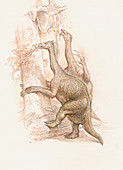 Beipiaosaurus dinosaurs,artwork