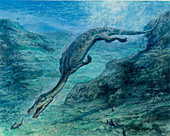 Nothosaurus dinosaur,artwork