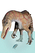 Baryonyx dinosaur model