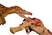 Velociraptor dinosaur model