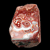 Agate stone with round whorls