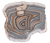 Agate stone cross section and patterns