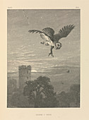 Owl being attacked,19th century