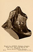 British meteorite,museum postcard