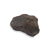 Siena meteorite rock
