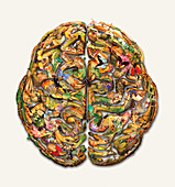 Natural history brain,conceptual image