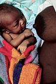 Baby during breastfeeding