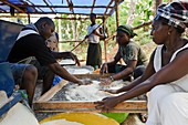 Education project,Sierra Leone