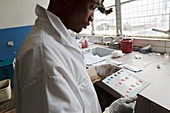 Blood analysis,Sierra Leone