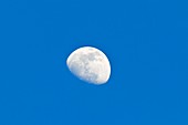 Day time moon