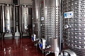 Wine fermentation vats