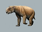 Prehistoric giant wombat,artwork