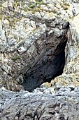 Paviland Cave,Stone Age burial site