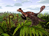 Microraptor dinosaur,artwork