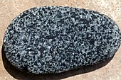 Rounded pebble of gabbro