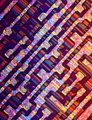 Microchip,light micrograph