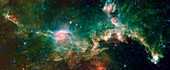 Seagull Nebula,infrared image