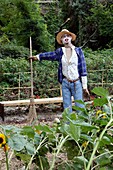 Scarecrow in a garden