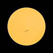 Sunspot 1158,SDO image